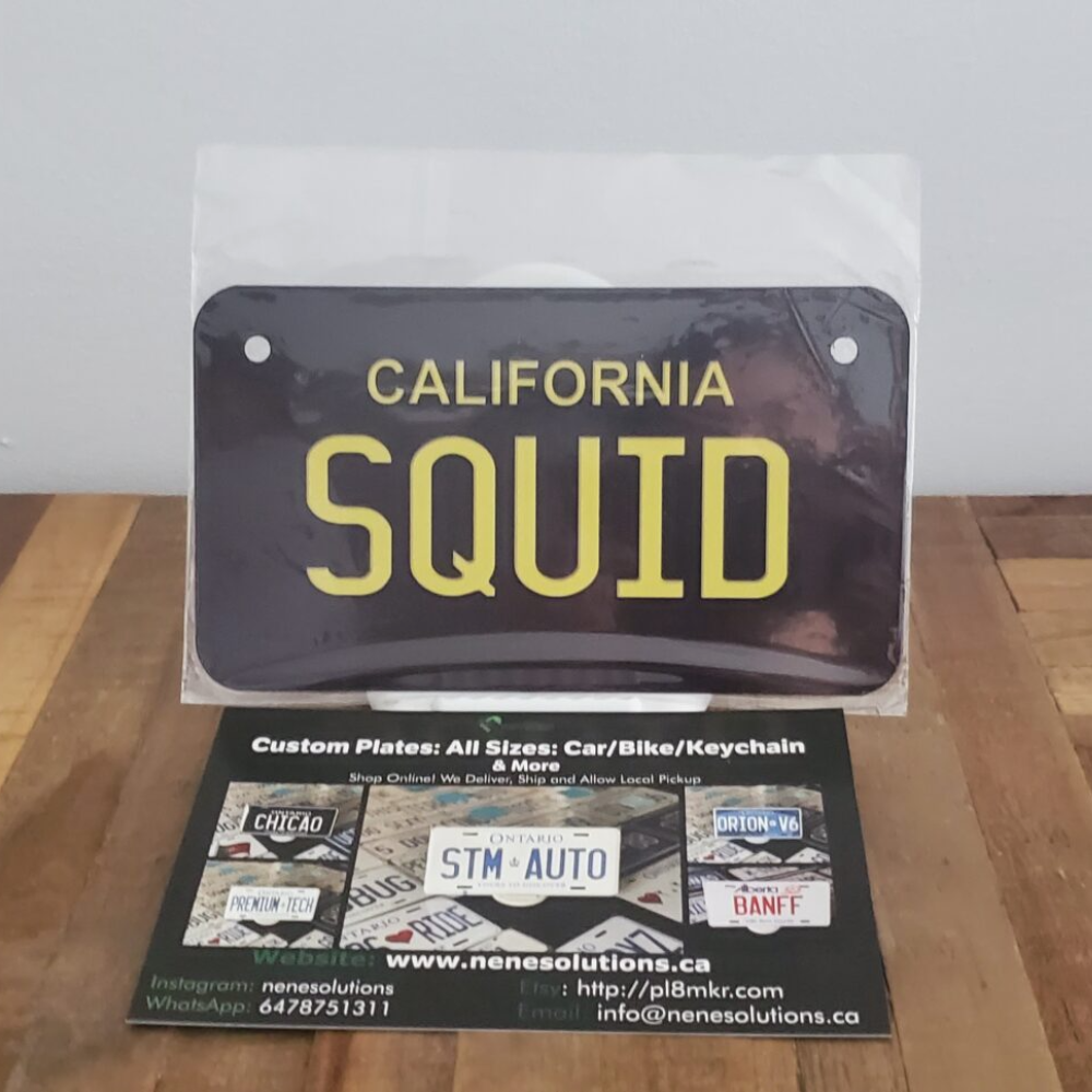 California SQUID Keychain